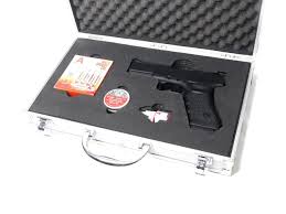Gun Box